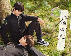 荆州seo排名优化价格